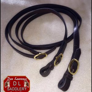 Reins